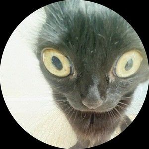 Meet your Posher, Jake